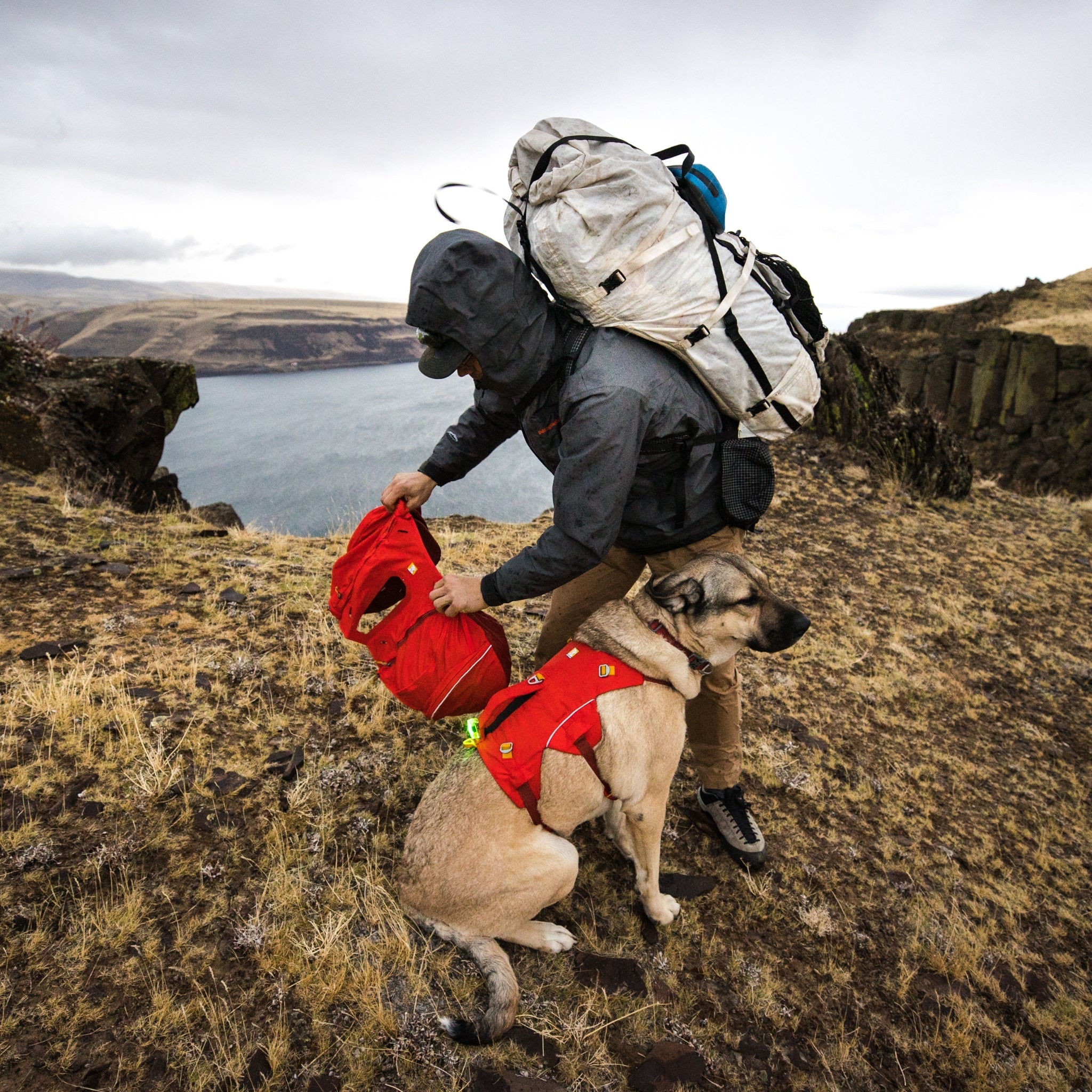Ruffwear Palisades Pack – Premium Hunderucksack mit abnehmbaren Satteltaschen für Wanderungen &amp; Outdoor - Abenteuer - Woofshack