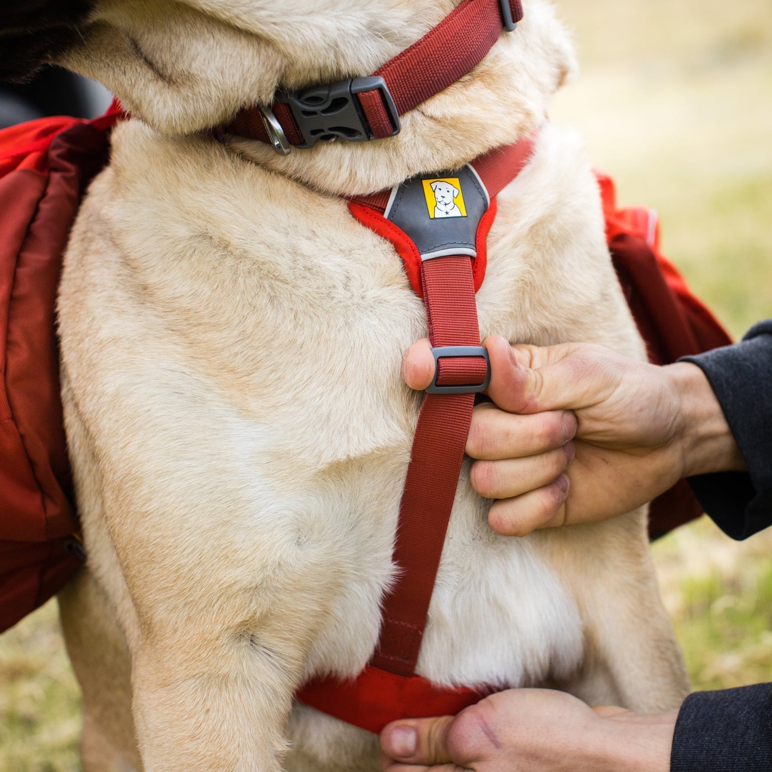 Ruffwear Palisades Pack – Premium Hunderucksack mit abnehmbaren Satteltaschen für Wanderungen &amp; Outdoor - Abenteuer - Woofshack