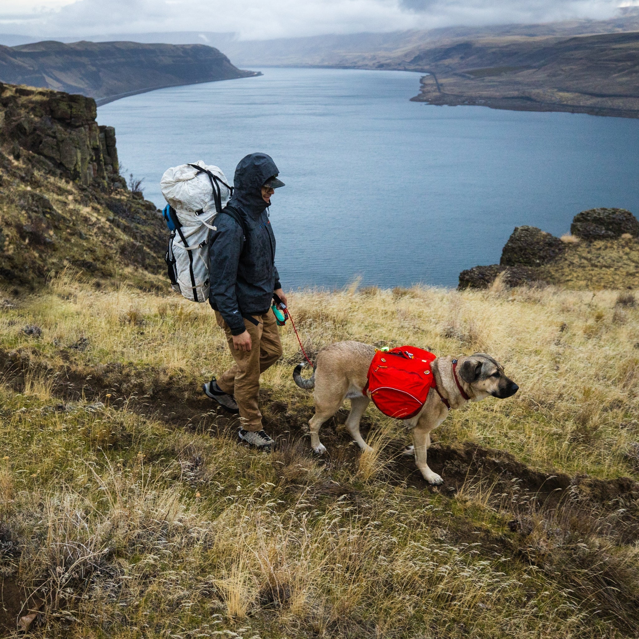 Ruffwear Palisades Pack – Premium Hunderucksack mit abnehmbaren Satteltaschen für Wanderungen &amp; Outdoor - Abenteuer - Woofshack