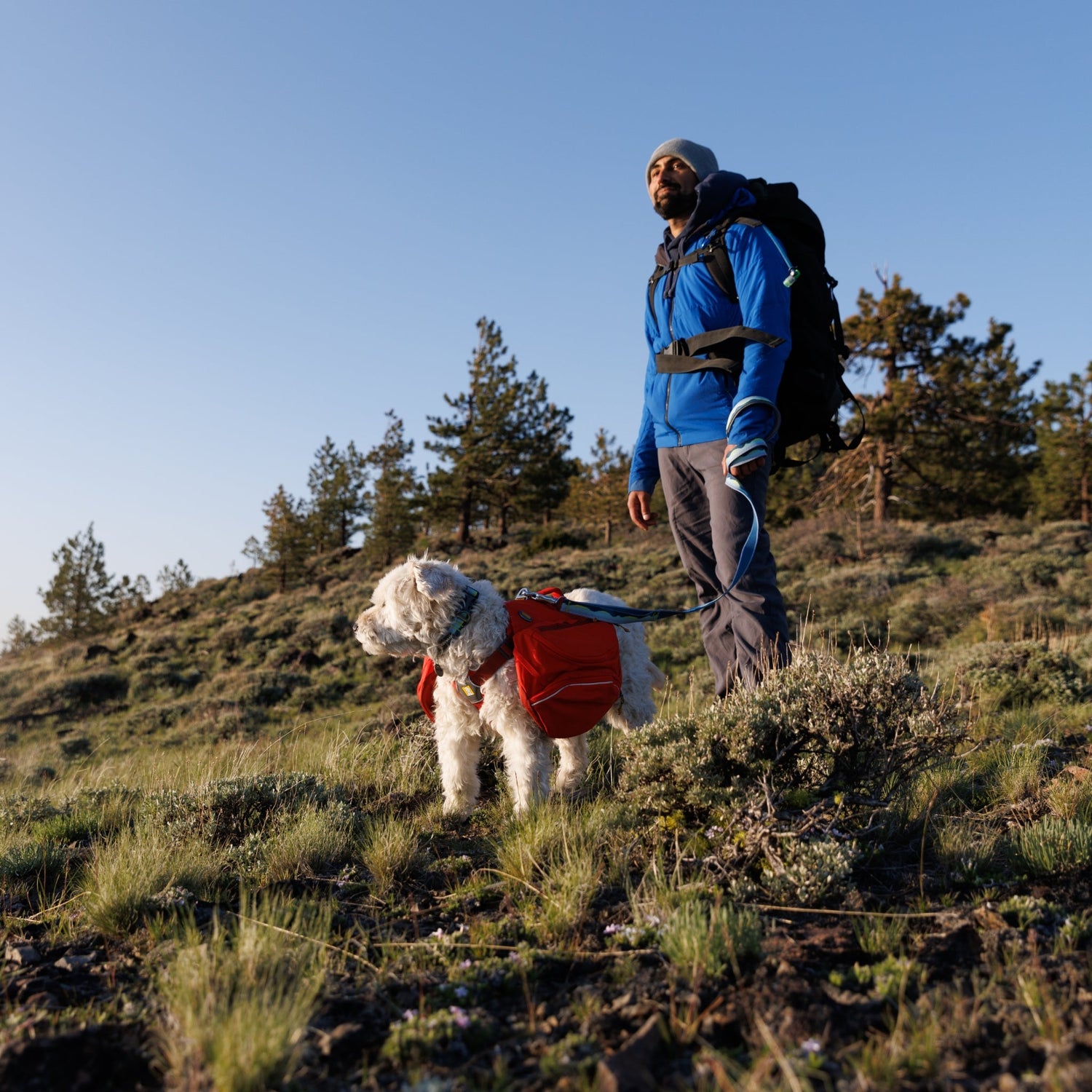 Ruffwear Palisades Pack – Premium Hunderucksack mit abnehmbaren Satteltaschen für Wanderungen &amp; Outdoor - Abenteuer - Woofshack