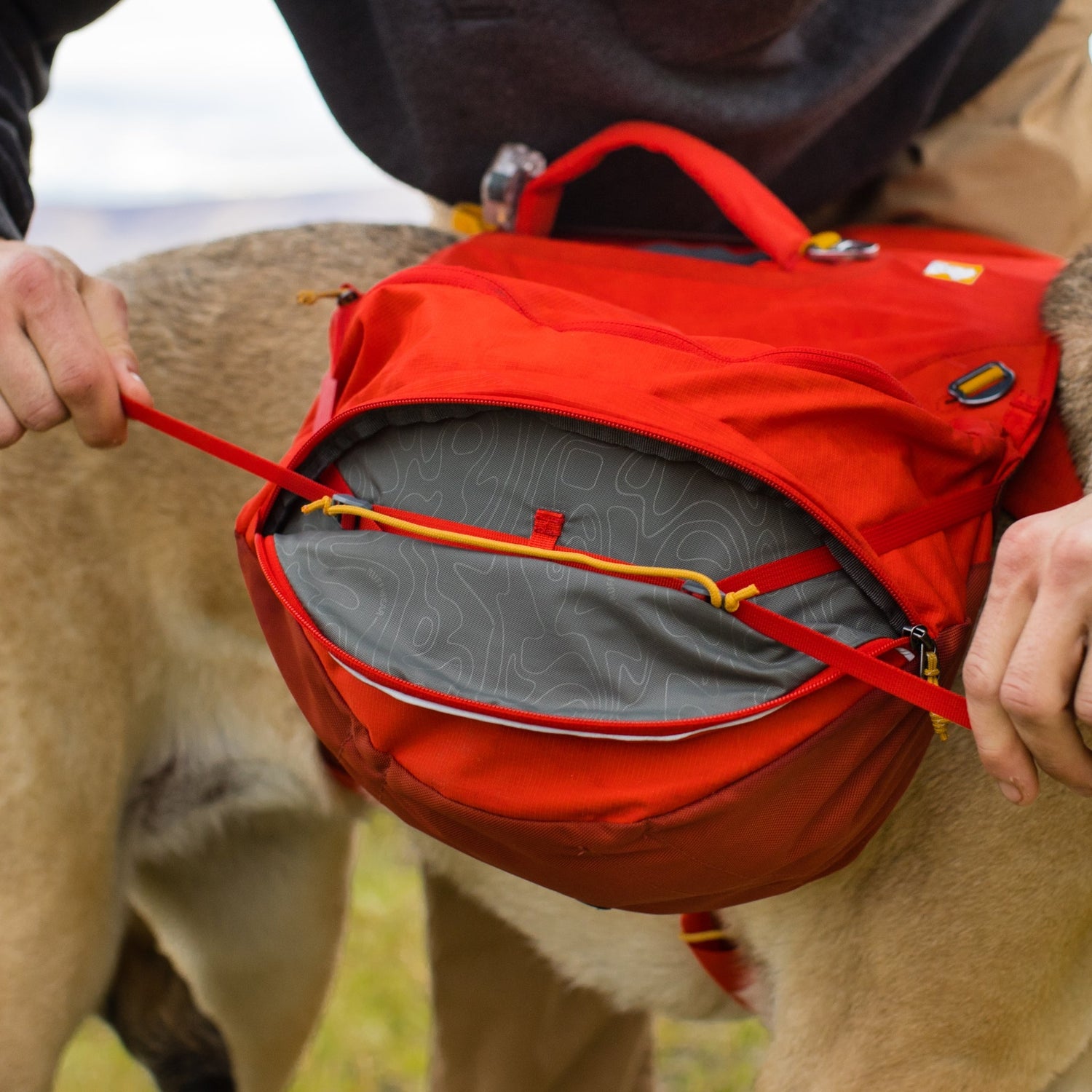 Ruffwear Palisades Pack – Premium Hunderucksack mit abnehmbaren Satteltaschen für Wanderungen &amp; Outdoor - Abenteuer - Woofshack