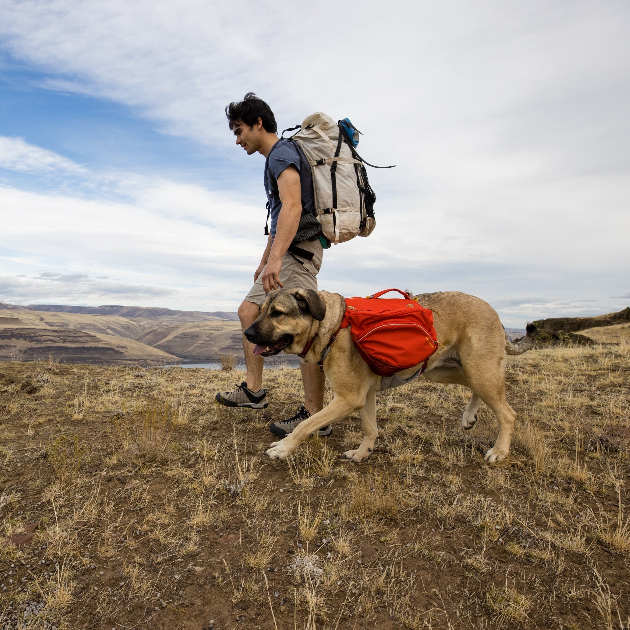 Ruffwear Palisades Pack – Premium Hunderucksack mit abnehmbaren Satteltaschen für Wanderungen &amp; Outdoor - Abenteuer - Woofshack