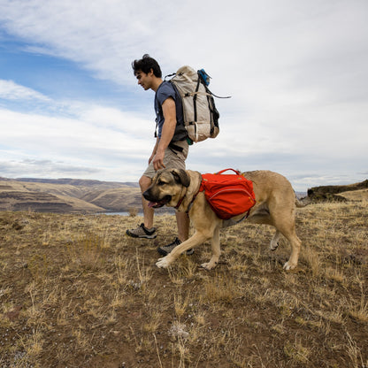 Ruffwear Palisades Pack – Premium Hunderucksack mit abnehmbaren Satteltaschen für Wanderungen &amp; Outdoor - Abenteuer - Woofshack