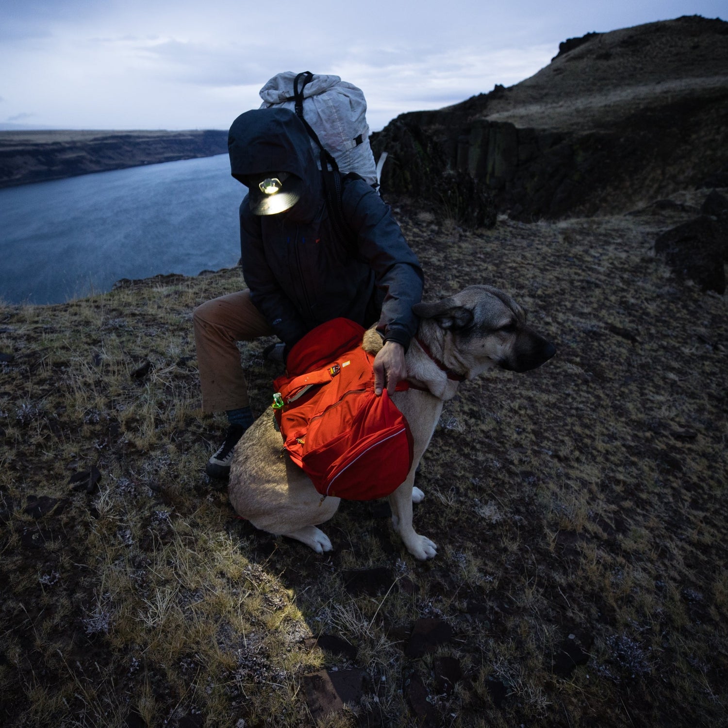 Ruffwear Palisades Pack – Premium Hunderucksack mit abnehmbaren Satteltaschen für Wanderungen &amp; Outdoor - Abenteuer - Woofshack