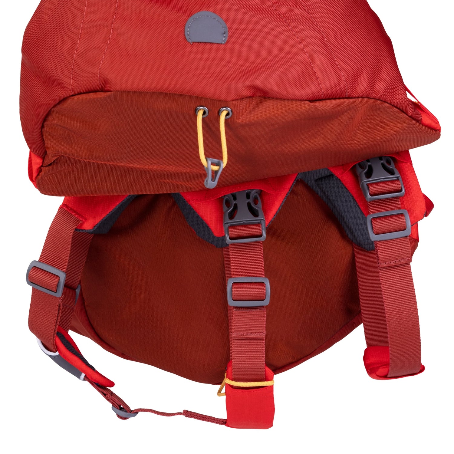 Ruffwear Palisades Pack – Premium Hunderucksack mit abnehmbaren Satteltaschen für Wanderungen &amp; Outdoor - Abenteuer - Woofshack