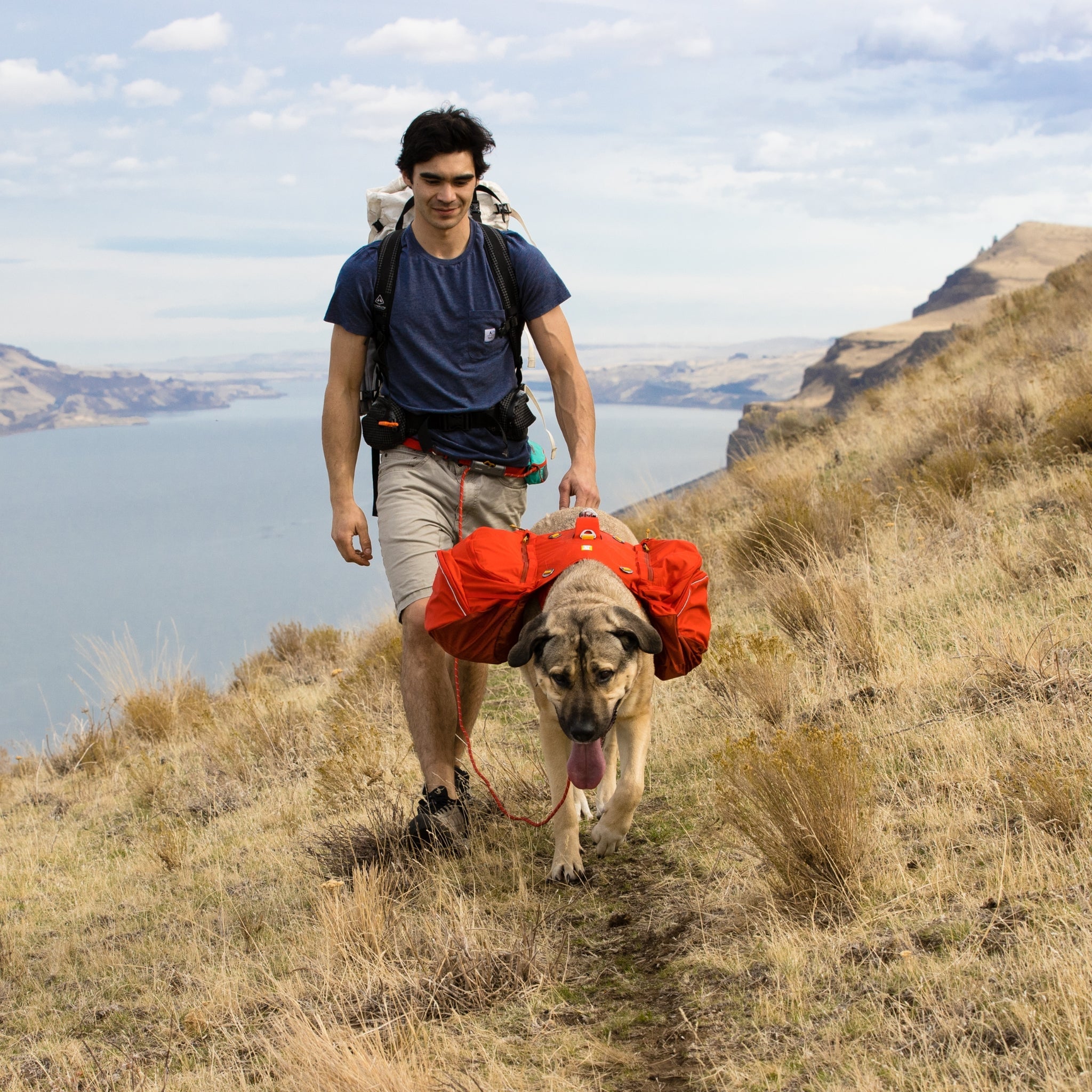 Ruffwear Palisades Pack – Premium Hunderucksack mit abnehmbaren Satteltaschen für Wanderungen &amp; Outdoor - Abenteuer - Woofshack
