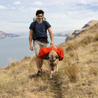 Ruffwear Palisades Pack – Premium Hunderucksack mit abnehmbaren Satteltaschen für Wanderungen &amp; Outdoor - Abenteuer - Woofshack