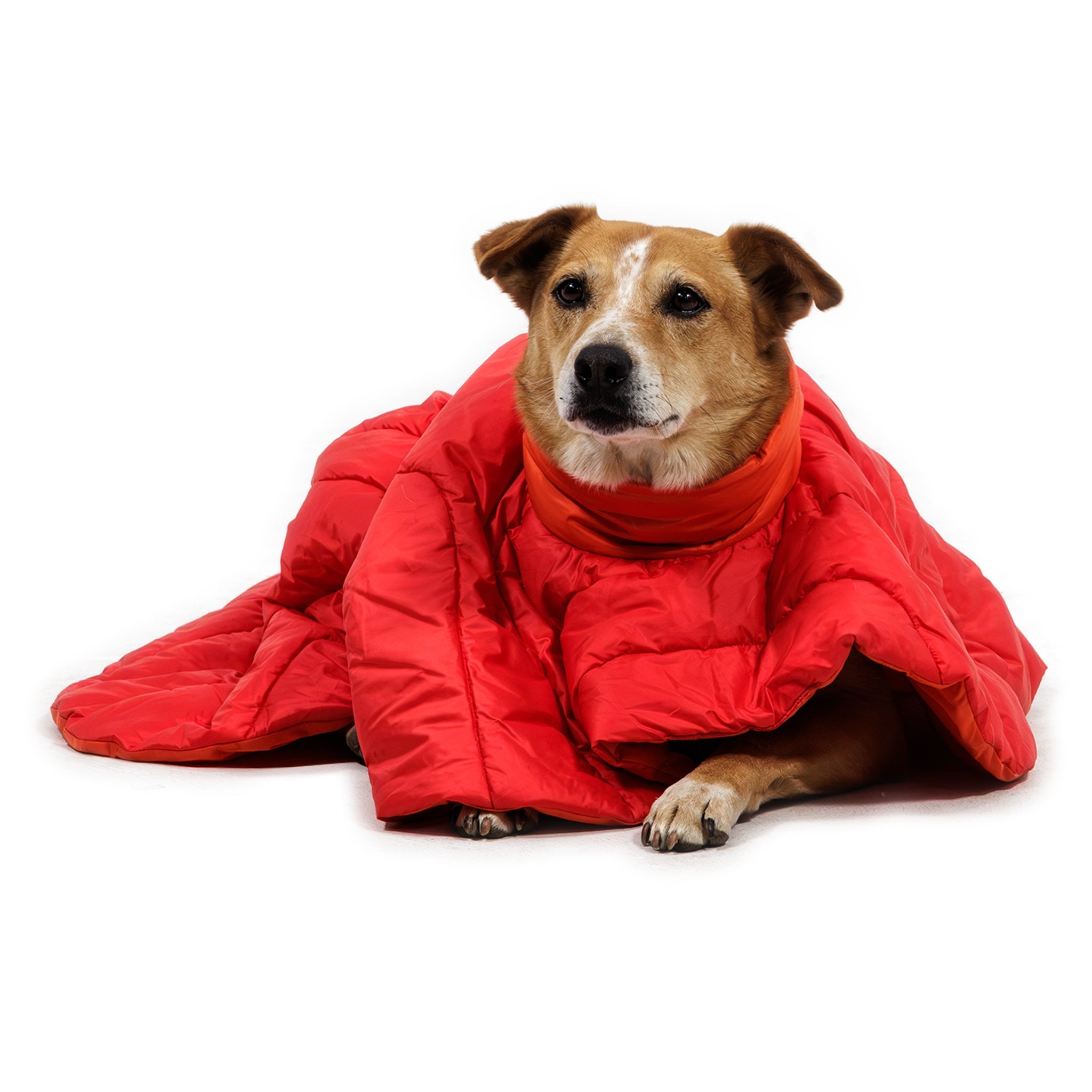 Ruffwear Palisades Sleep Poncho – Isolierter Outdoor - Schlafponcho für kalte Nächte und Camping - Abenteuer mit Hund - Woofshack