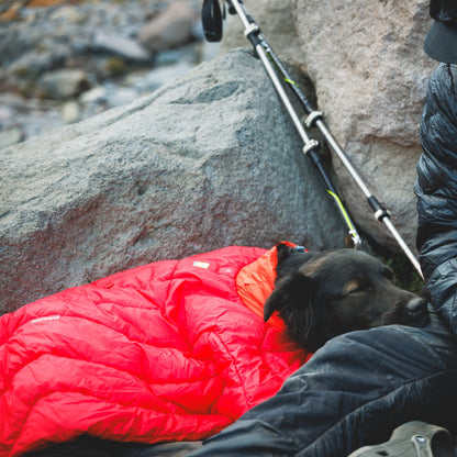 Ruffwear Palisades Sleep Poncho – Isolierter Outdoor - Schlafponcho für kalte Nächte und Camping - Abenteuer mit Hund - Woofshack