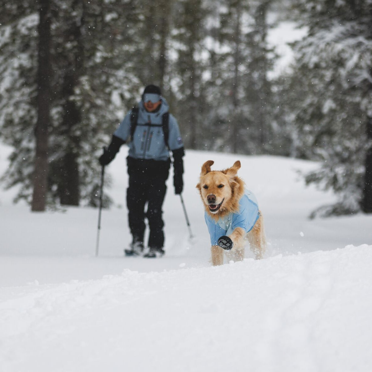 Ruffwear Polar Trex Hundeschuhe – Wasserdichte Winterstiefel mit Grip für Eis, Schnee &amp; Streusalz