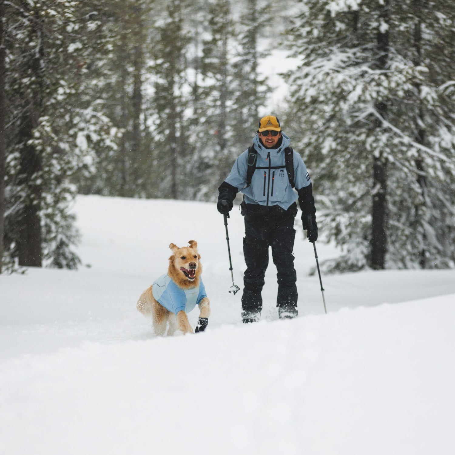 Ruffwear Polar Trex Hundeschuhe – Wasserdichte Winterstiefel mit Grip für Eis, Schnee &amp; Streusalz