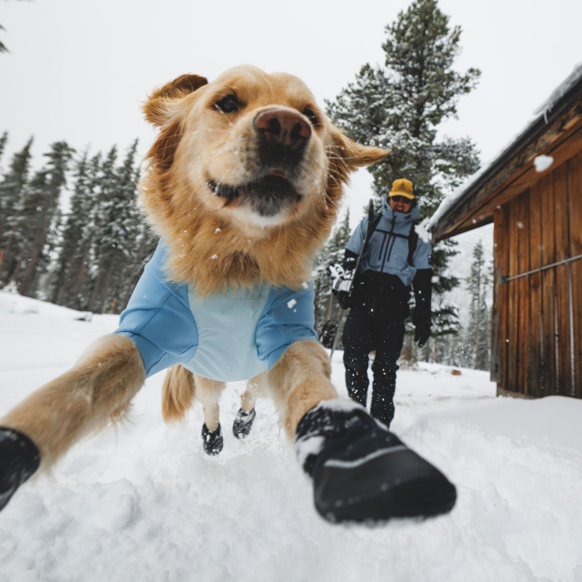 Ruffwear Polar Trex Hundeschuhe – Wasserdichte Winterstiefel mit Grip für Eis, Schnee &amp; Streusalz