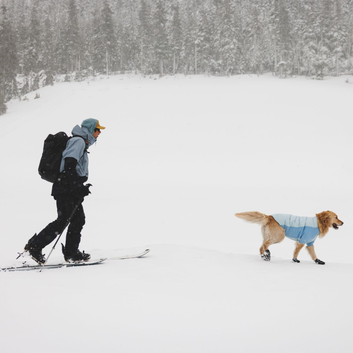 Ruffwear Polar Trex Hundeschuhe – Wasserdichte Winterstiefel mit Grip für Eis, Schnee &amp; Streusalz