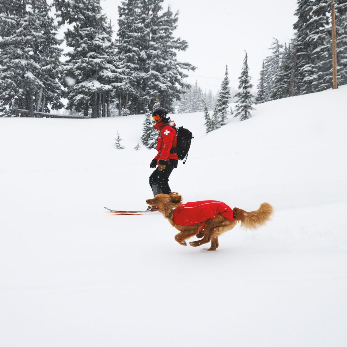 Ruffwear Powder Hound Vest – Wasserdichter wattierter Hundemantel für den Winter | Warm, Windgeschützt &amp; Outdoor-tauglich
