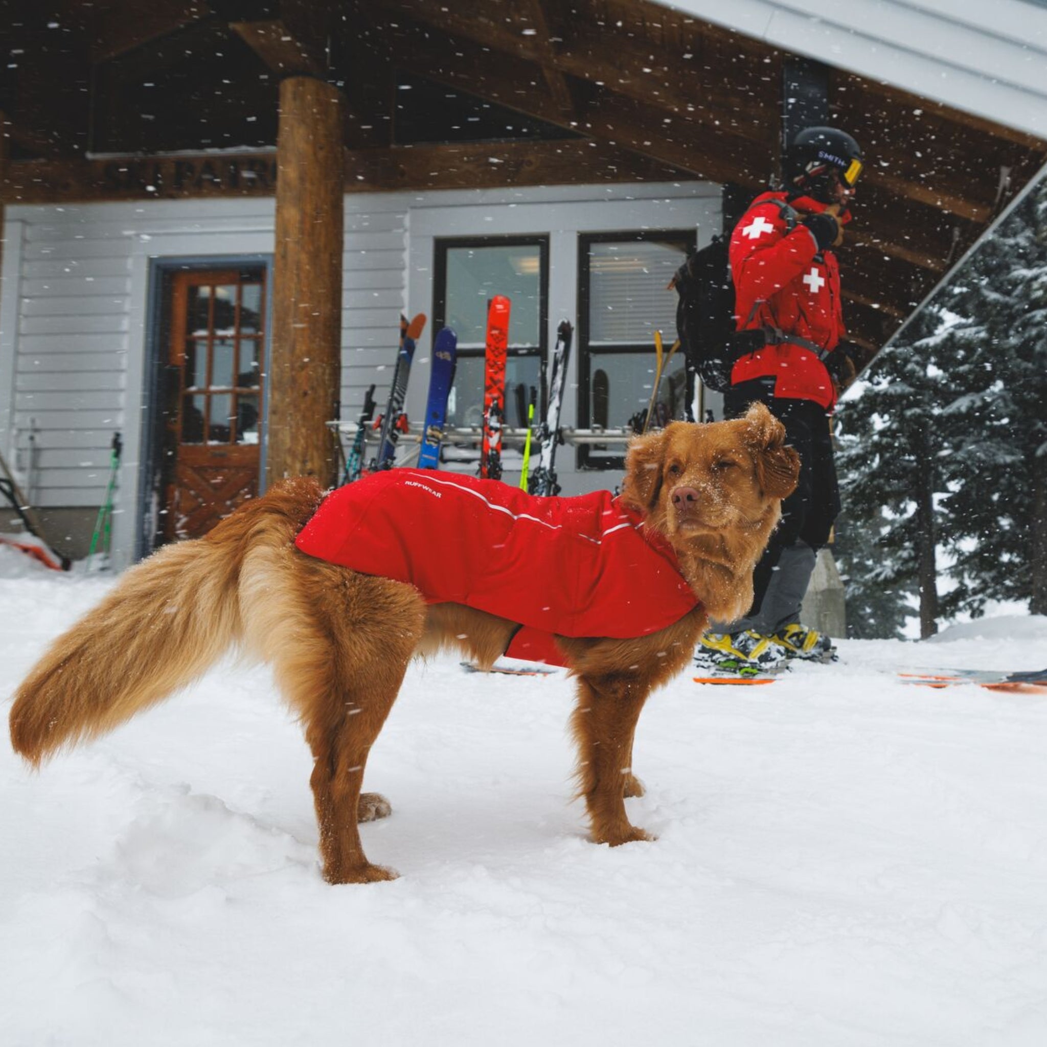 Ruffwear Powder Hound Vest – Wasserdichter wattierter Hundemantel für den Winter | Warm, Windgeschützt &amp; Outdoor-tauglich