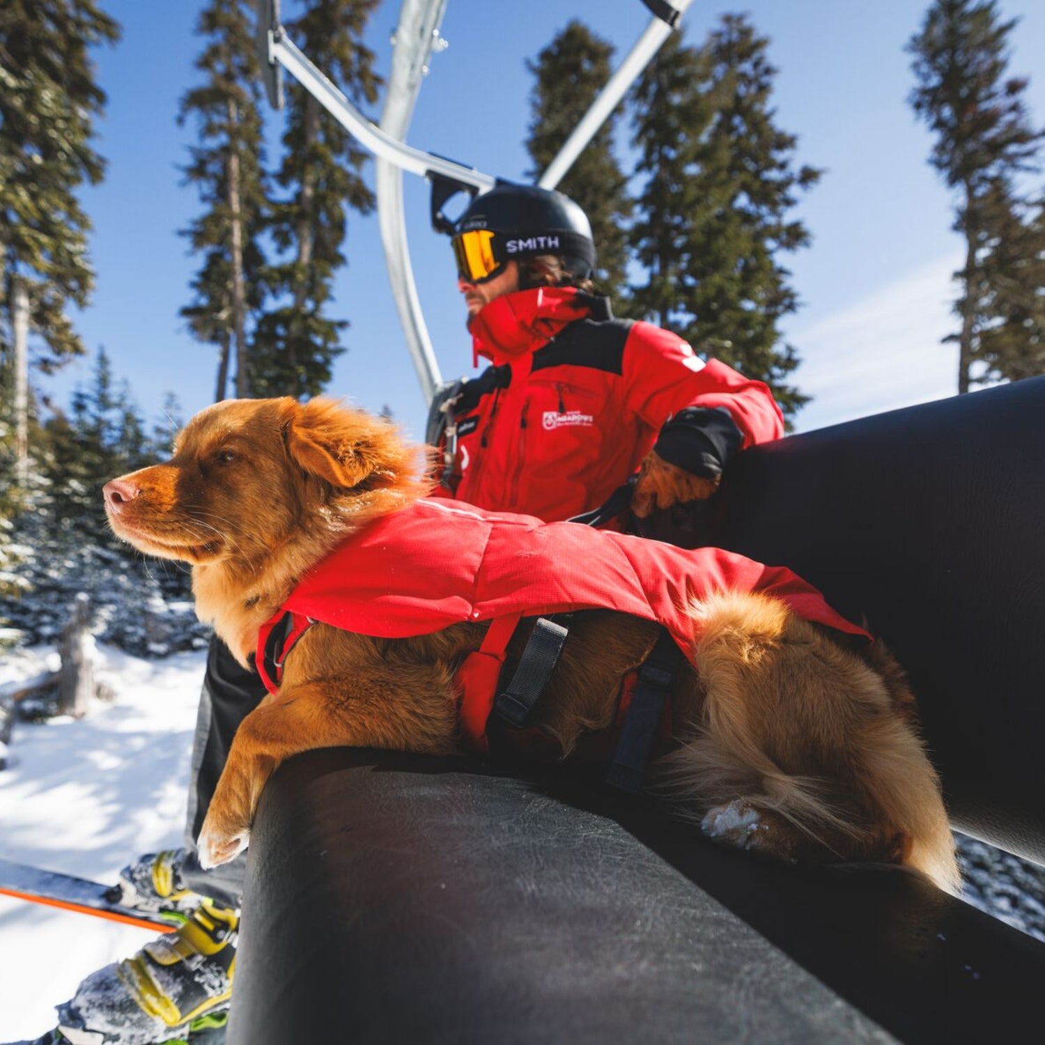 Ruffwear Powder Hound Vest – Wasserdichter wattierter Hundemantel für den Winter | Warm, Windgeschützt &amp; Outdoor-tauglich