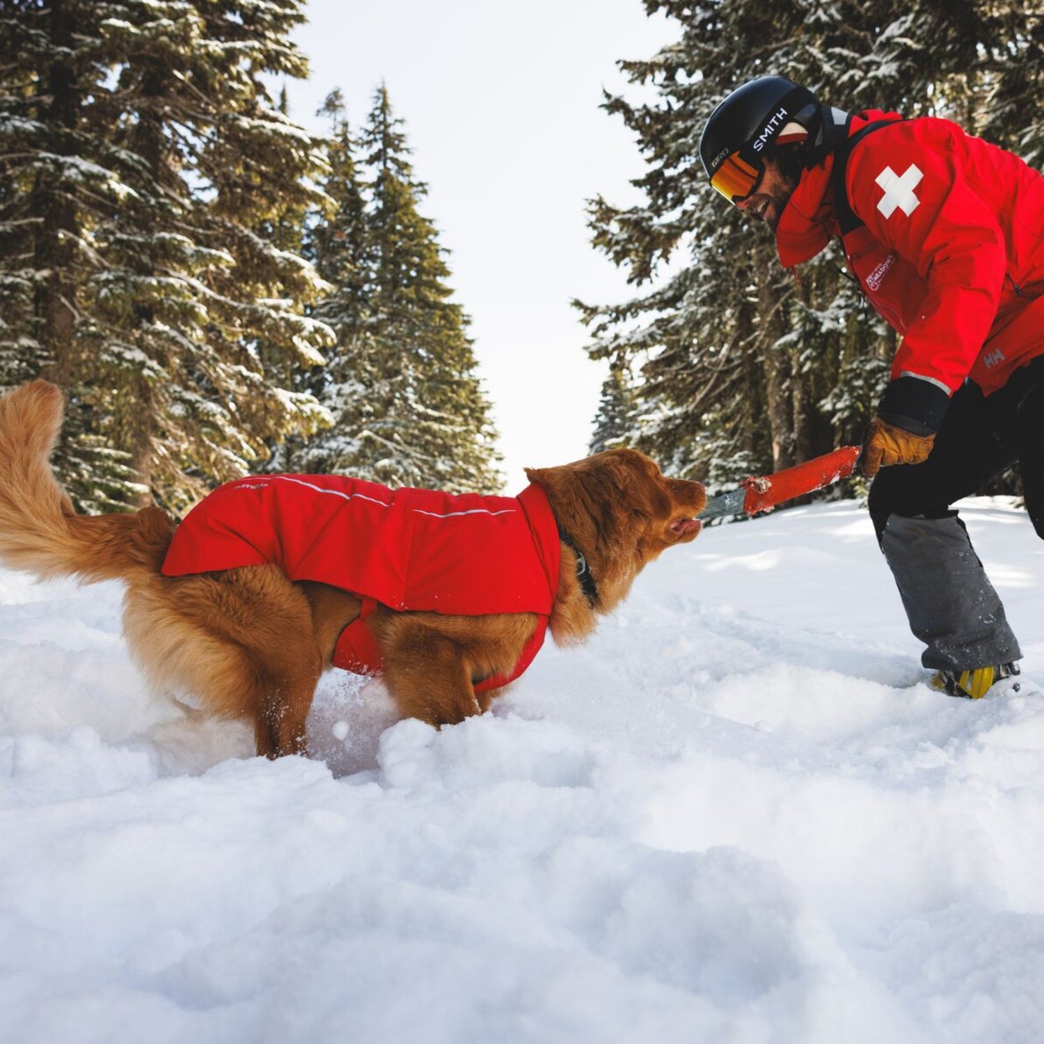 Ruffwear Powder Hound Vest – Wasserdichter wattierter Hundemantel für den Winter | Warm, Windgeschützt &amp; Outdoor-tauglich