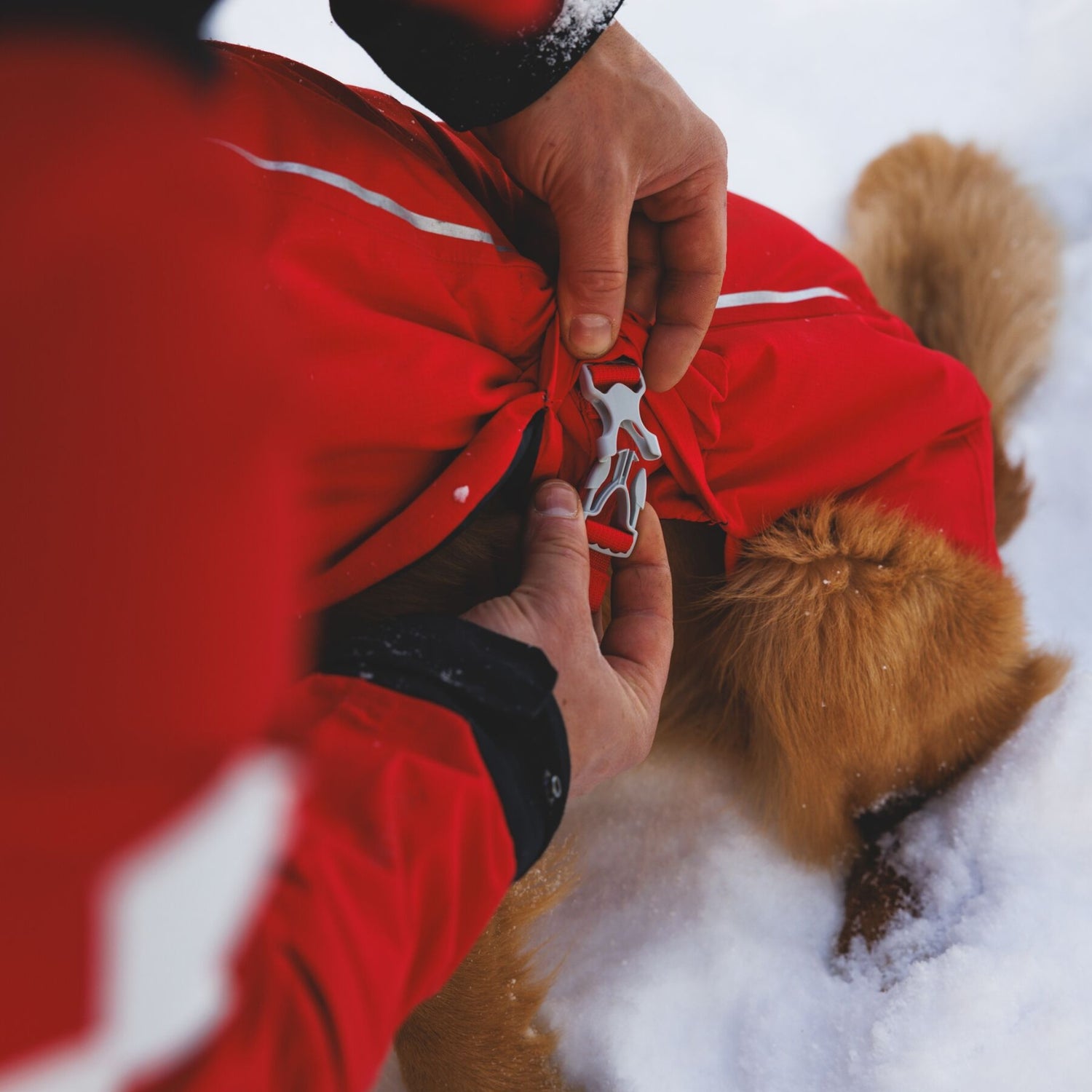 Ruffwear Powder Hound Vest – Wasserdichter wattierter Hundemantel für den Winter | Warm, Windgeschützt &amp; Outdoor-tauglich