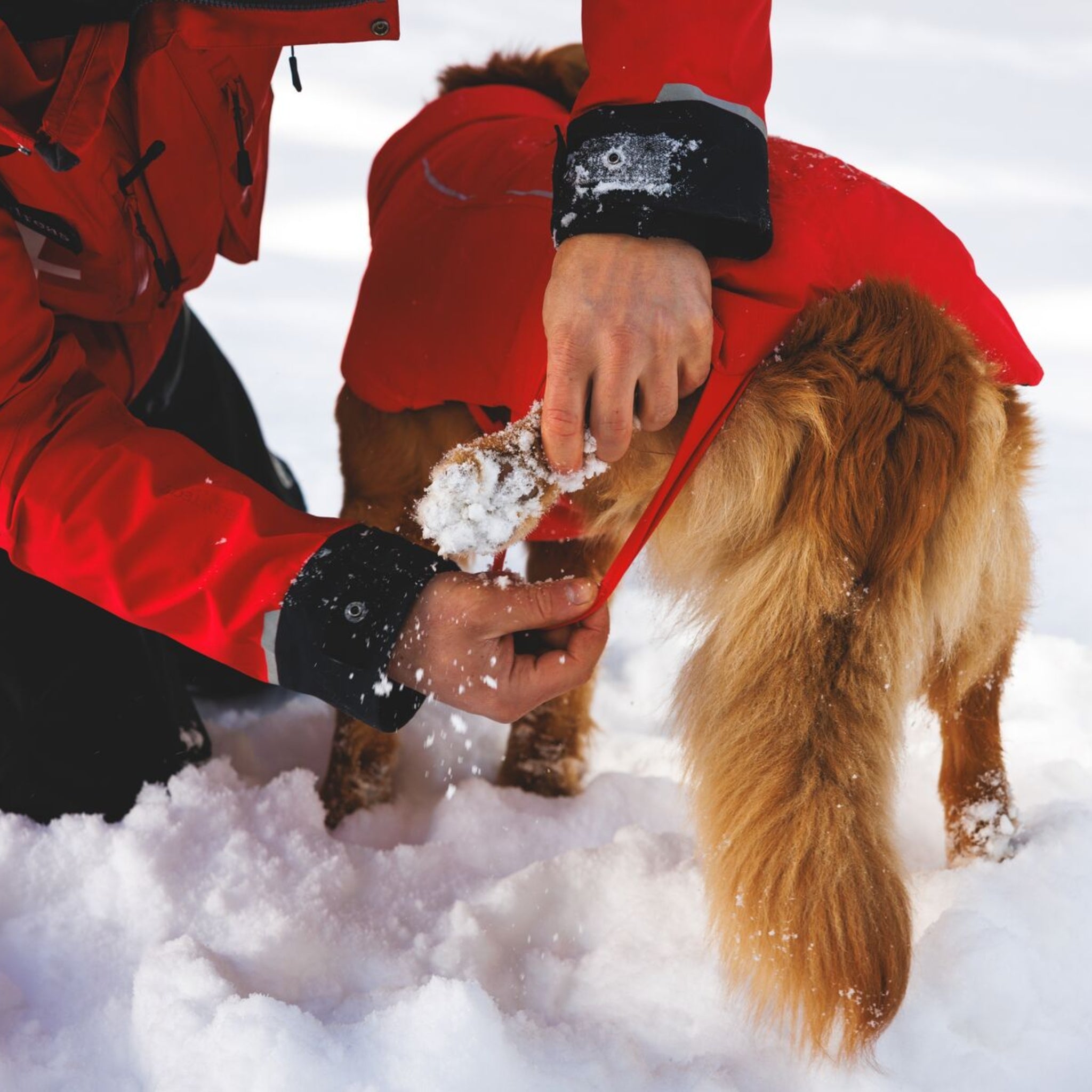 Ruffwear Powder Hound Vest – Wasserdichter wattierter Hundemantel für den Winter | Warm, Windgeschützt &amp; Outdoor-tauglich