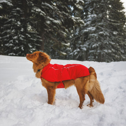 Ruffwear Powder Hound Vest – Wasserdichter wattierter Hundemantel für den Winter | Warm, Windgeschützt &amp; Outdoor-tauglich