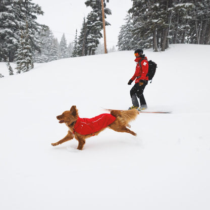 Ruffwear Powder Hound Vest – Wasserdichter wattierter Hundemantel für den Winter | Warm, Windgeschützt &amp; Outdoor-tauglich