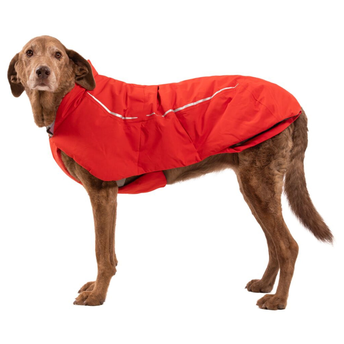 Ruffwear Powder Hound Vest – Wasserdichter wattierter Hundemantel für den Winter | Warm, Windgeschützt &amp; Outdoor-tauglich