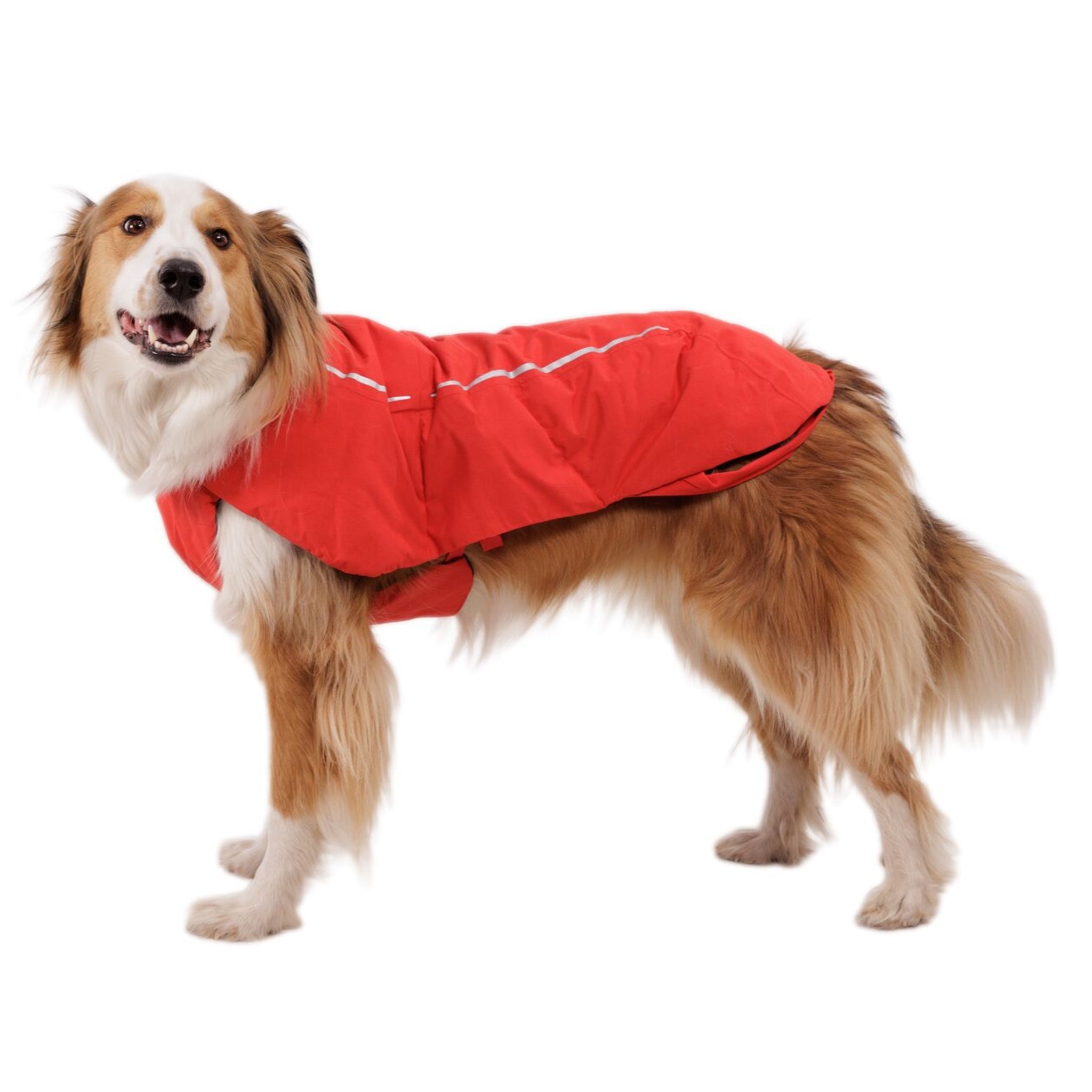 Ruffwear Powder Hound Vest – Wasserdichter wattierter Hundemantel für den Winter | Warm, Windgeschützt &amp; Outdoor-tauglich