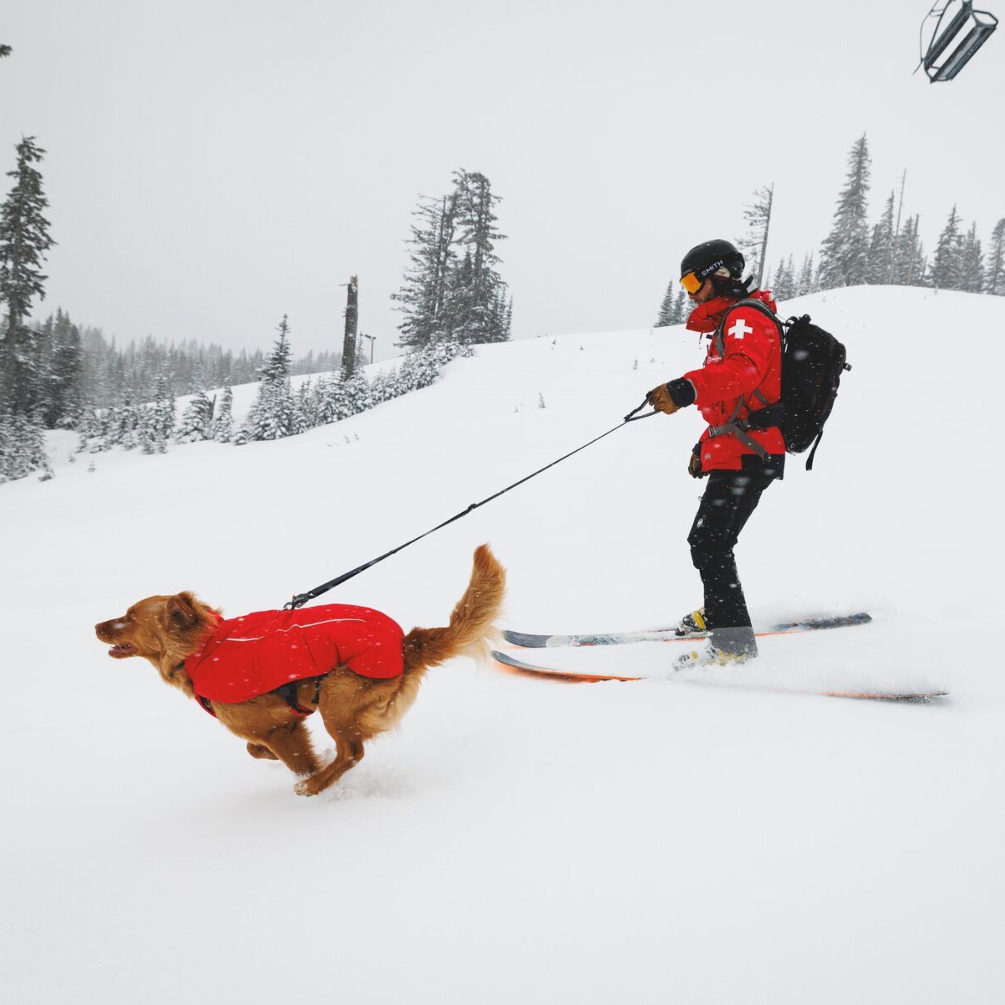 Ruffwear Powder Hound Vest – Wasserdichter wattierter Hundemantel für den Winter | Warm, Windgeschützt &amp; Outdoor-tauglich