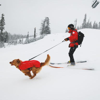Ruffwear Powder Hound Vest – Wasserdichter wattierter Hundemantel für den Winter | Warm, Windgeschützt &amp; Outdoor-tauglich