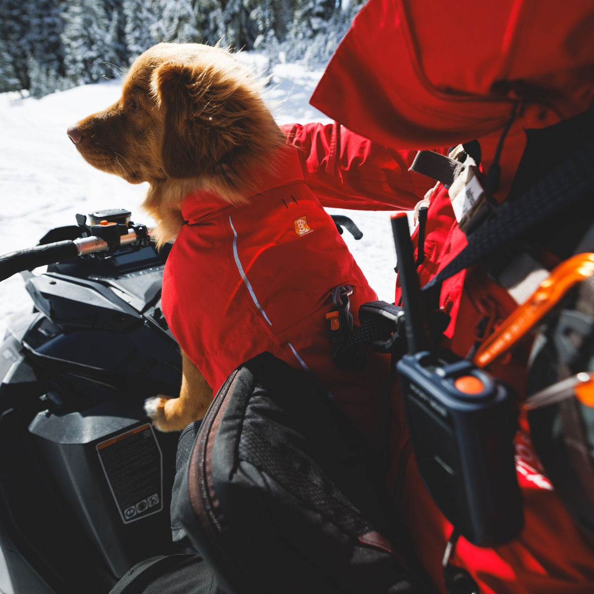 Ruffwear Powder Hound Vest – Wasserdichter wattierter Hundemantel für den Winter | Warm, Windgeschützt &amp; Outdoor-tauglich