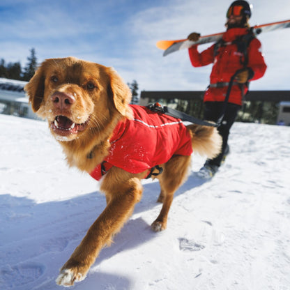 Ruffwear Powder Hound Vest – Wasserdichter wattierter Hundemantel für den Winter | Warm, Windgeschützt &amp; Outdoor-tauglich