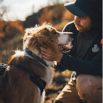 Ruffwear Ridgeline Collar – Reflektierendes Hundehalsband für Abenteuer, Sicherheit &amp; Komfort bei Tag und Nacht - Woofshack