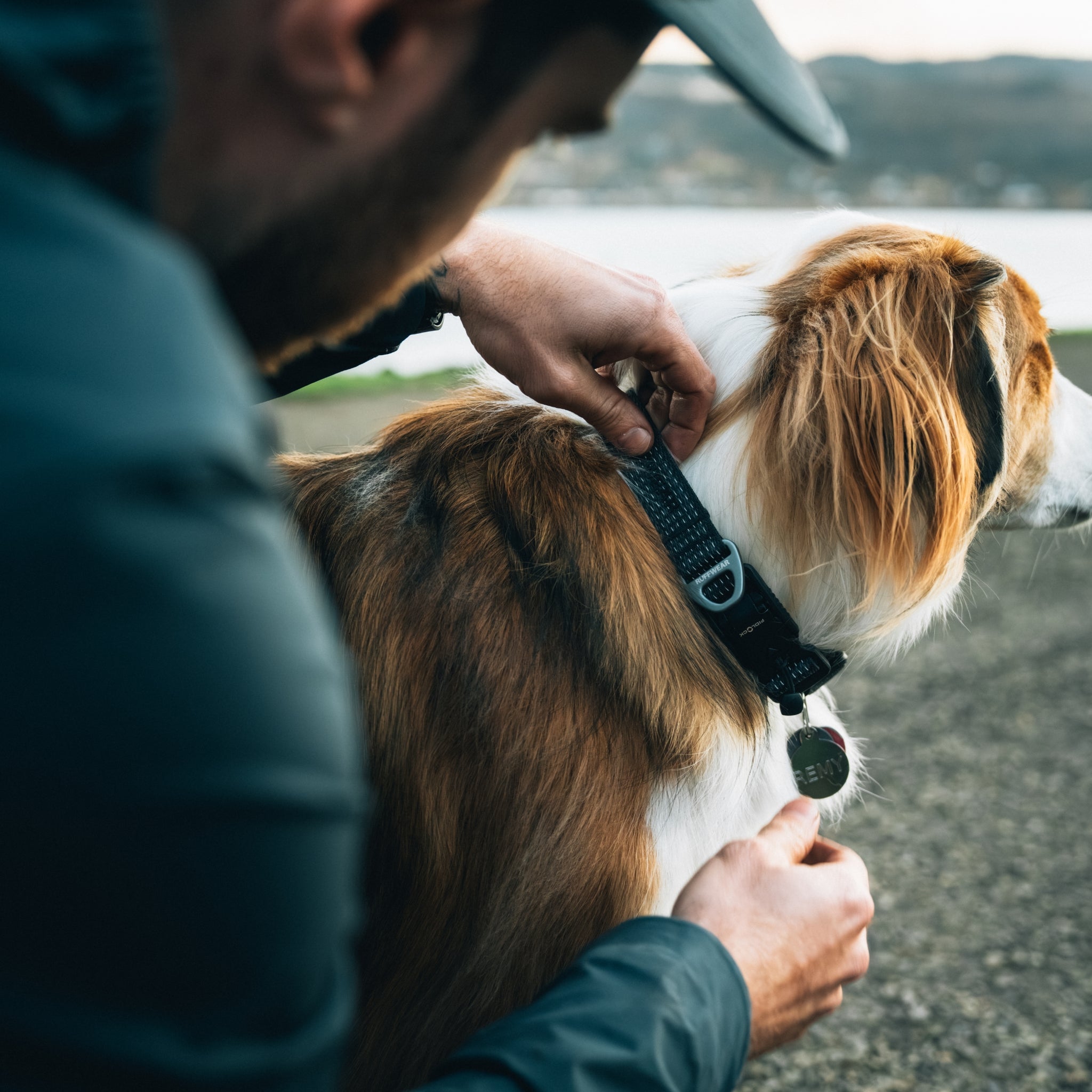 Ruffwear Ridgeline Collar – Reflektierendes Hundehalsband für Abenteuer, Sicherheit &amp; Komfort bei Tag und Nacht - Woofshack