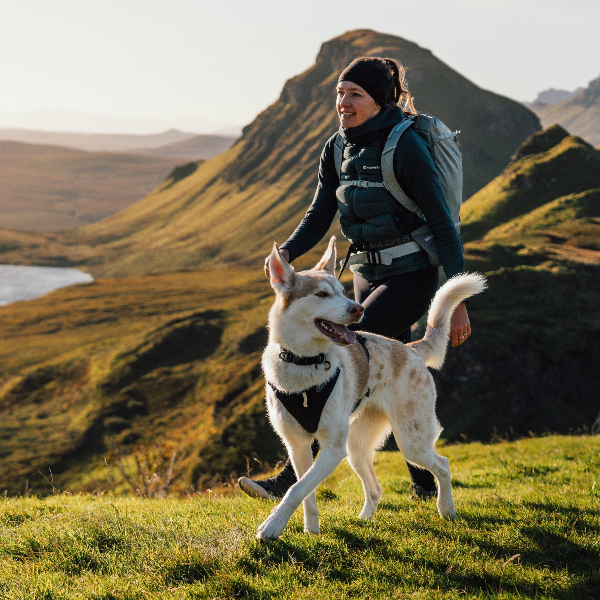 Ruffwear Ridgeline Collar – Reflektierendes Hundehalsband für Abenteuer, Sicherheit &amp; Komfort bei Tag und Nacht - Woofshack