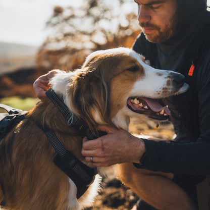 Ruffwear Ridgeline Collar – Reflektierendes Hundehalsband für Abenteuer, Sicherheit &amp; Komfort bei Tag und Nacht - Woofshack