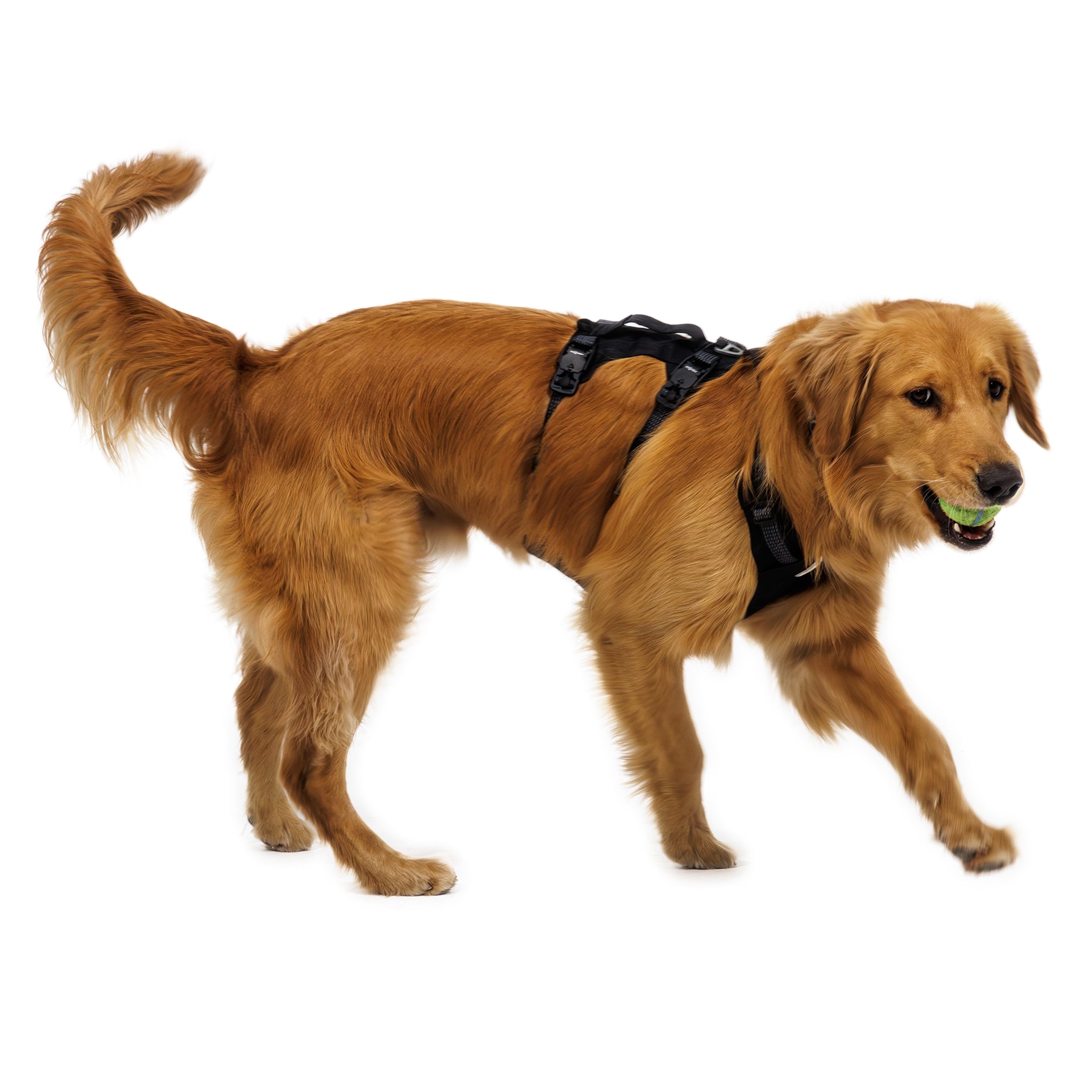 Ruffwear Ridgeline Harness – Ultraleichtes Hundegeschirr für aktive Abenteuer, optimale Bewegungsfreiheit und ganztägigen Tragekomfort