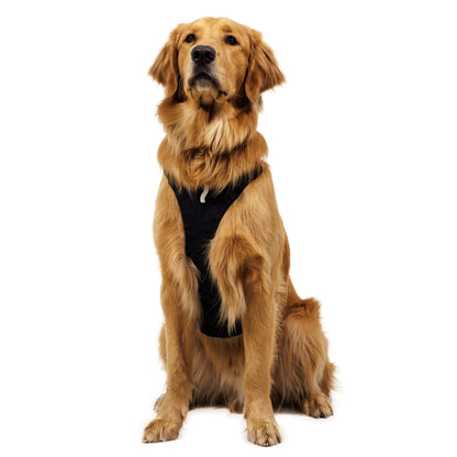 Ruffwear Ridgeline Harness – Ultraleichtes Hundegeschirr für aktive Abenteuer, optimale Bewegungsfreiheit und ganztägigen Tragekomfort - Woofshack