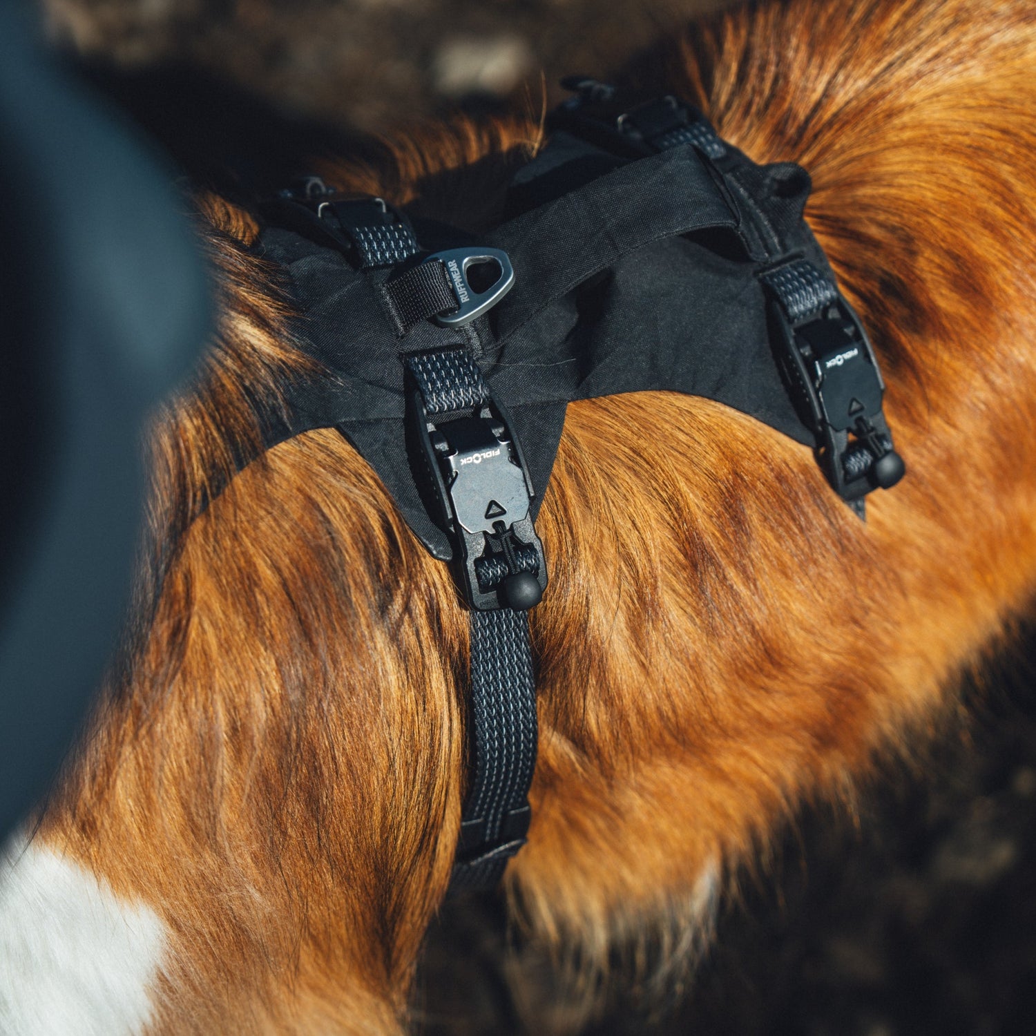 Ruffwear Ridgeline Harness – Ultraleichtes Hundegeschirr für aktive Abenteuer, optimale Bewegungsfreiheit und ganztägigen Tragekomfort - Woofshack