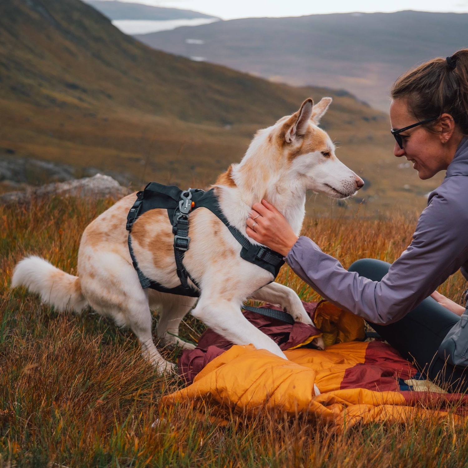 Ruffwear Ridgeline Harness – Ultraleichtes Hundegeschirr für aktive Abenteuer, optimale Bewegungsfreiheit und ganztägigen Tragekomfort - Woofshack