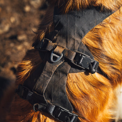 Ruffwear Ridgeline Harness – Ultraleichtes Hundegeschirr für aktive Abenteuer, optimale Bewegungsfreiheit und ganztägigen Tragekomfort - Woofshack
