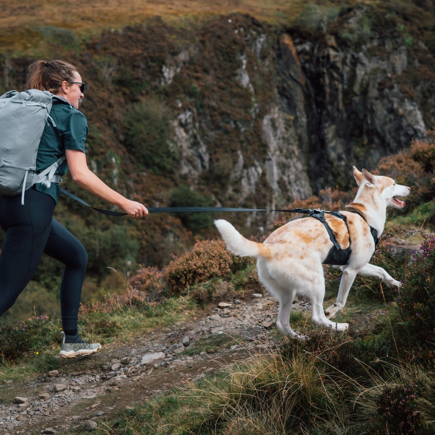 Ruffwear Ridgeline Harness – Ultraleichtes Hundegeschirr für aktive Abenteuer, optimale Bewegungsfreiheit und ganztägigen Tragekomfort - Woofshack