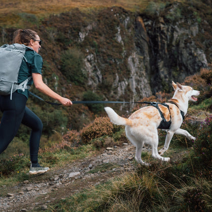 Ruffwear Ridgeline Harness – Ultraleichtes Hundegeschirr für aktive Abenteuer, optimale Bewegungsfreiheit und ganztägigen Tragekomfort - Woofshack