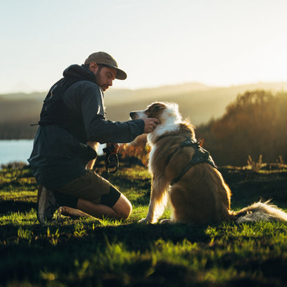 Ruffwear Ridgeline Harness – Ultraleichtes Hundegeschirr für aktive Abenteuer, optimale Bewegungsfreiheit und ganztägigen Tragekomfort - Woofshack