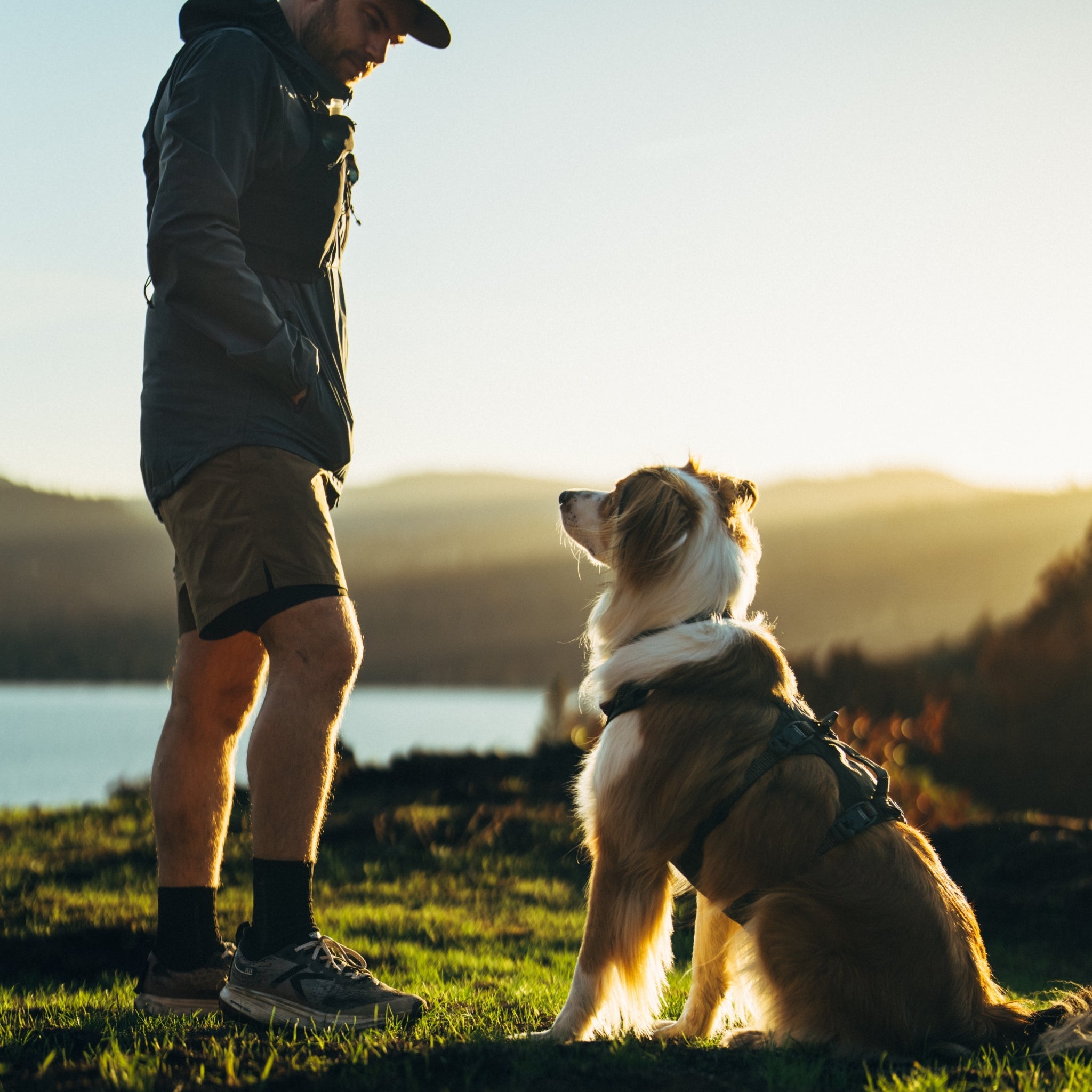 Ruffwear Ridgeline Harness – Ultraleichtes Hundegeschirr für aktive Abenteuer, optimale Bewegungsfreiheit und ganztägigen Tragekomfort - Woofshack
