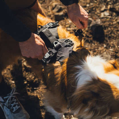 Ruffwear Ridgeline Harness – Ultraleichtes Hundegeschirr für aktive Abenteuer, optimale Bewegungsfreiheit und ganztägigen Tragekomfort - Woofshack
