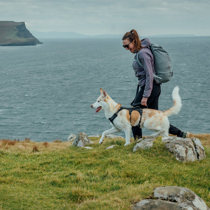 Ruffwear Ridgeline Harness – Ultraleichtes Hundegeschirr für aktive Abenteuer, optimale Bewegungsfreiheit und ganztägigen Tragekomfort - Woofshack