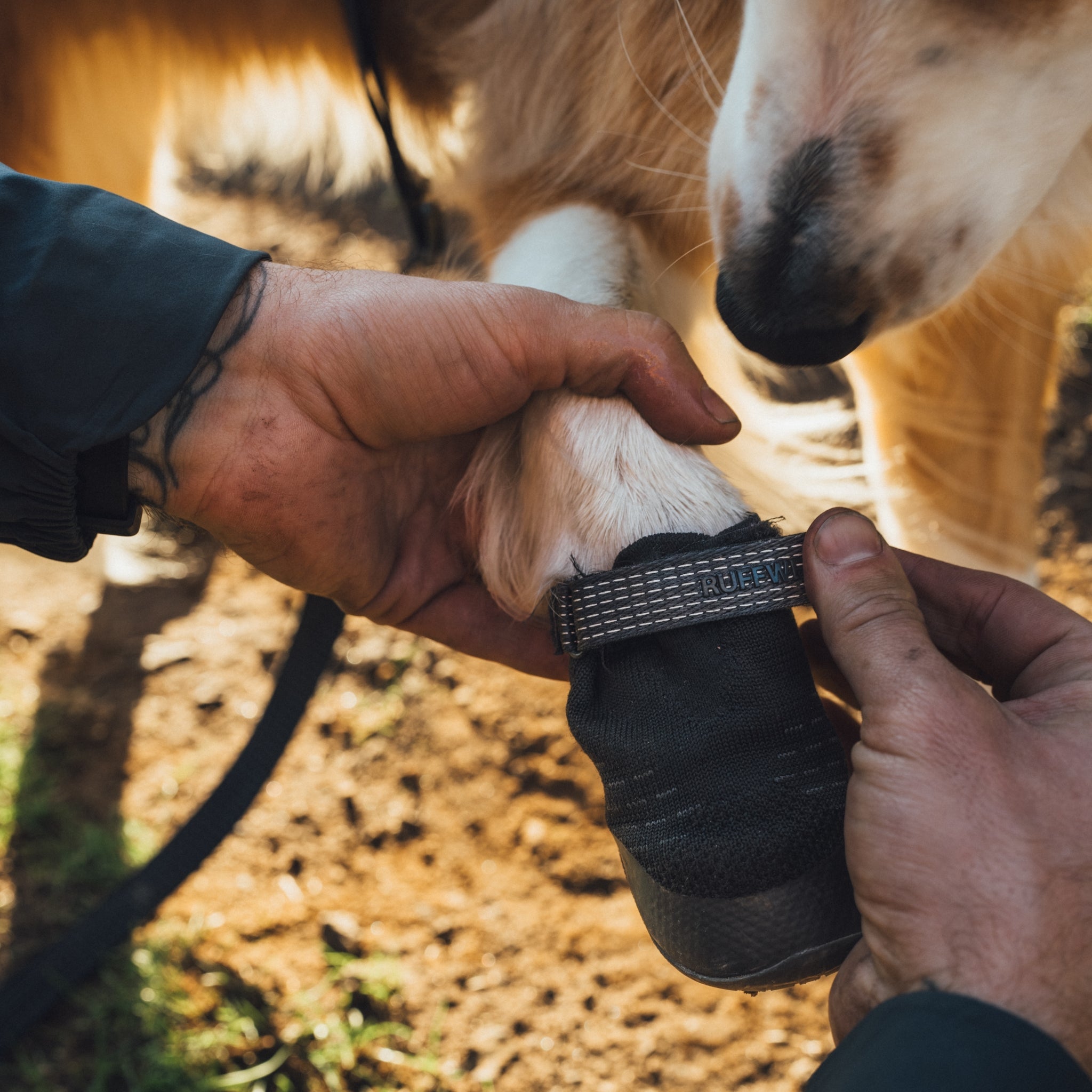 Ruffwear Ridgeline Hundeschuhe – Robuster Pfotenschutz für anspruchsvolle Trails und raues Gelände - Woofshack