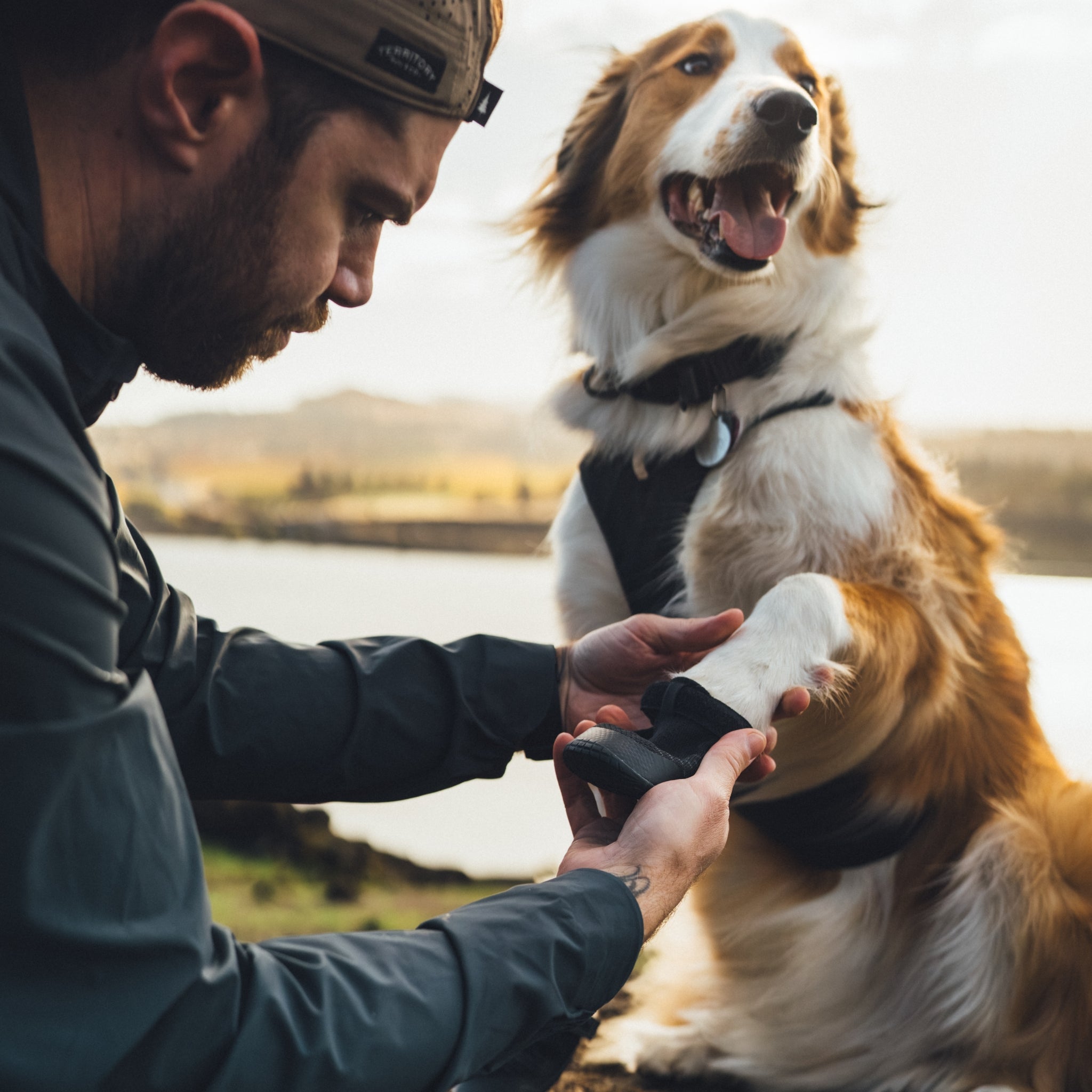 Ruffwear Ridgeline Hundeschuhe – Robuster Pfotenschutz für anspruchsvolle Trails und raues Gelände - Woofshack