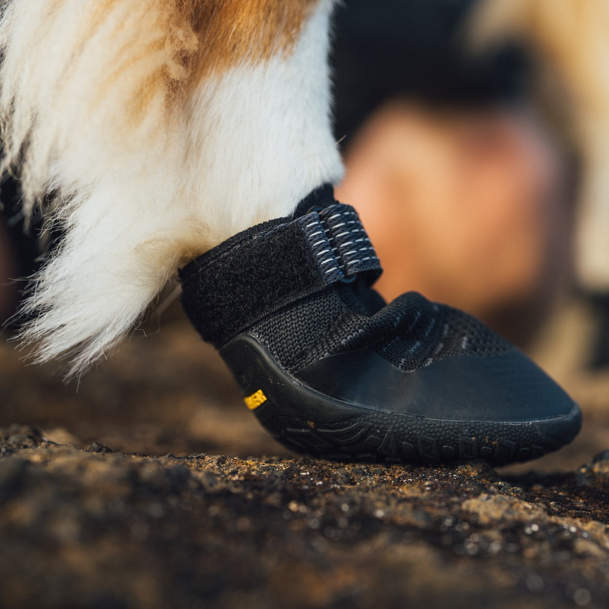 Ruffwear Ridgeline Hundeschuhe – Robuster Pfotenschutz für anspruchsvolle Trails und raues Gelände - Woofshack