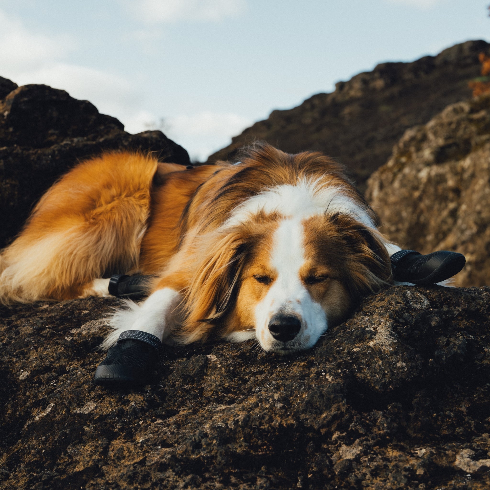 Ruffwear Ridgeline Hundeschuhe – Robuster Pfotenschutz für anspruchsvolle Trails und raues Gelände - Woofshack